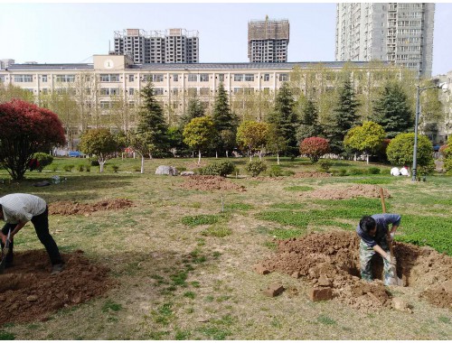 博魚boyu官方網站：周口城市園林綠化管理條例